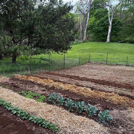 Вилла Walnut Run Farm Woodville Экстерьер фото