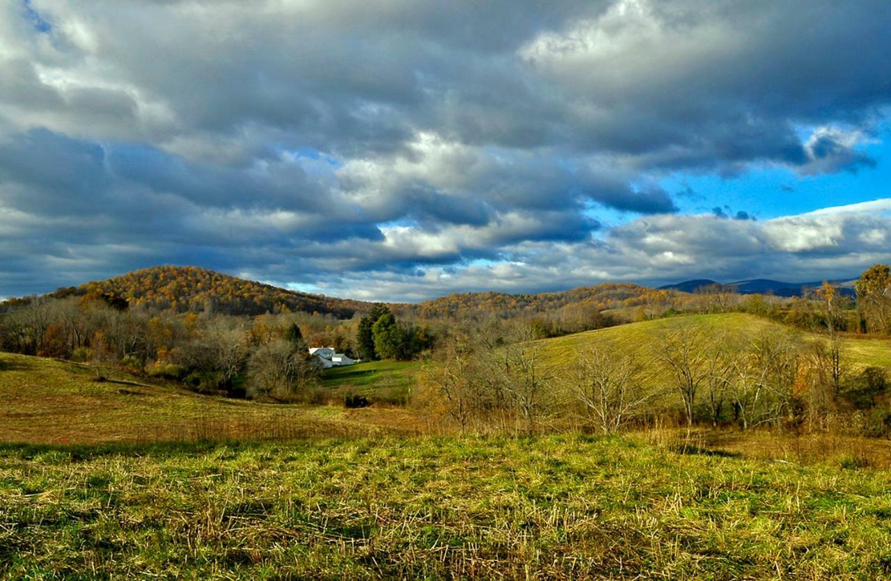Вилла Walnut Run Farm Woodville Экстерьер фото