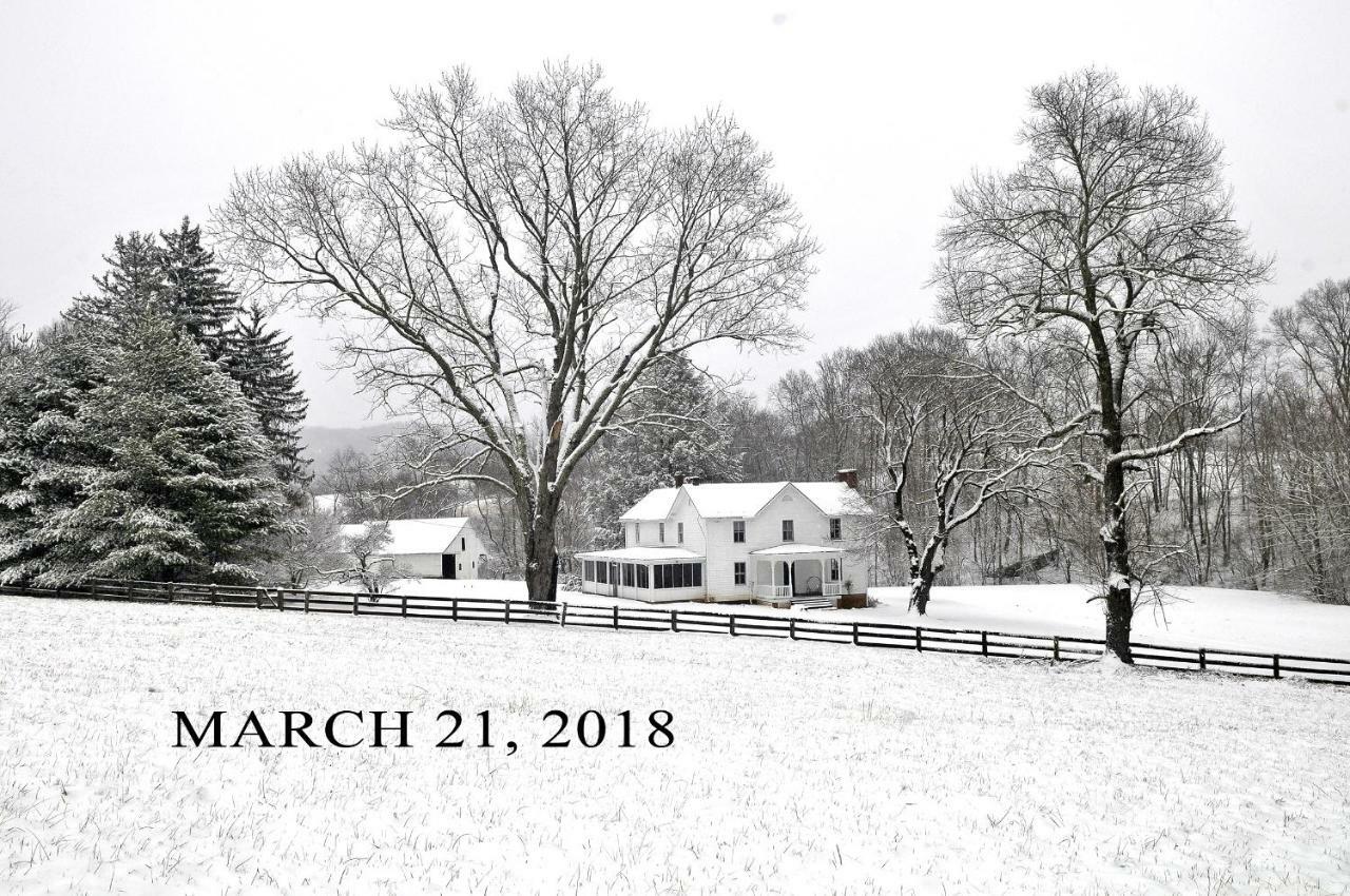 Вилла Walnut Run Farm Woodville Экстерьер фото